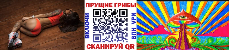 mega ссылка  Москва  Галлюциногенные грибы Psilocybe 