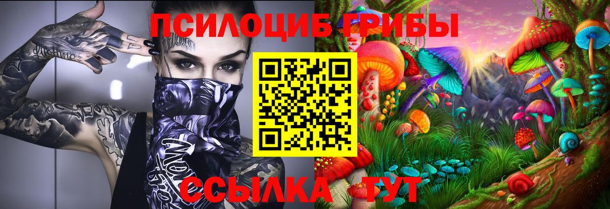 Галлюциногенные грибы прущие грибы  Москва 