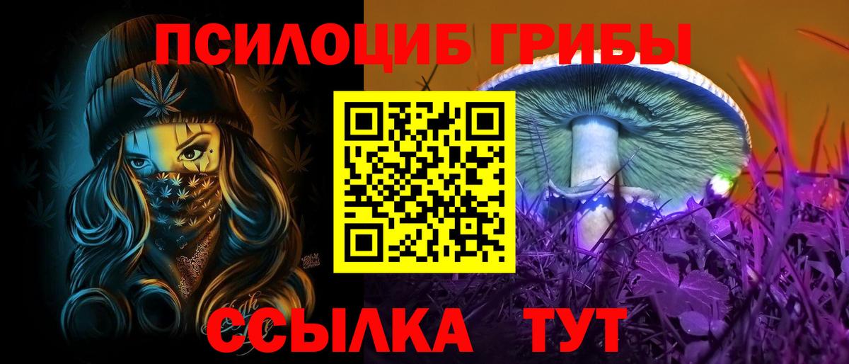 Псилоцибиновые грибы Cubensis  Галлюциногенные грибы MAGIC MUSHROOMS  Москва  Вход с VPN 